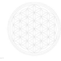 CARRY Bottle Glazen Fles FLOWER OF LIFE - 700 ml - 1 Stuk