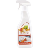 LINA LINE Sprayreiniger Orange